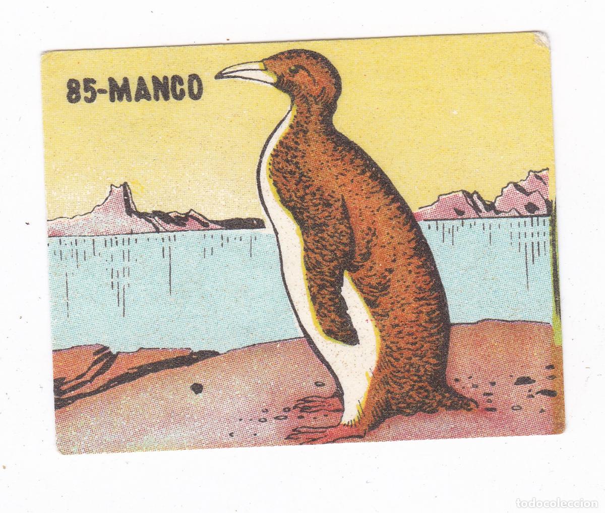 Coleccionismo cromos antiguos: Reino Animal. Colecci&oacute;n de Cromos Ediciones Costa Gigarpe A&ntilde;o 1963. Nunca pegado. Cromo N&ordm; 85