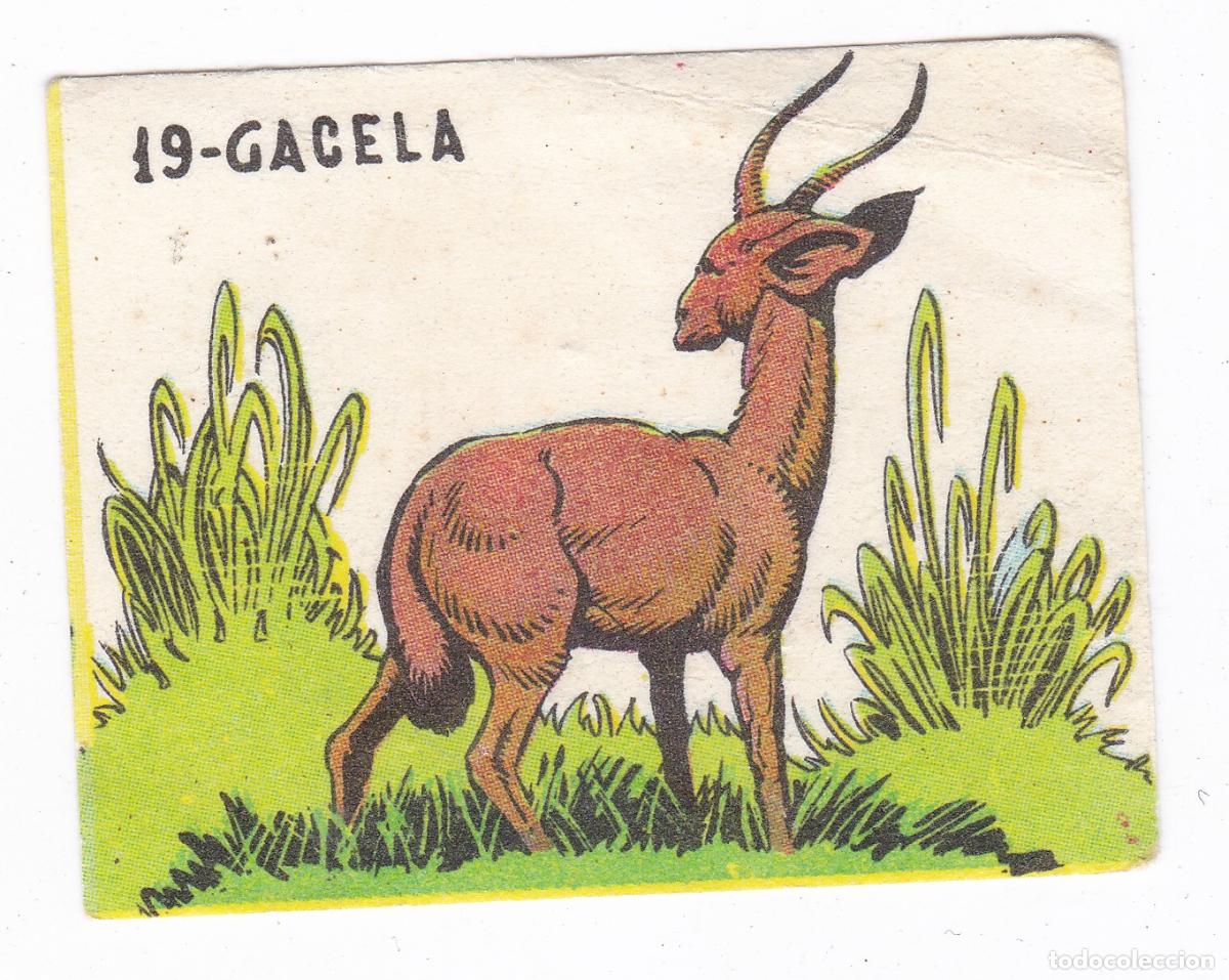 Coleccionismo cromos antiguos: Reino Animal. Colecci&oacute;n de Cromos Ediciones Costa Gigarpe A&ntilde;o 1963. Nunca pegado. Cromo N&ordm; 19