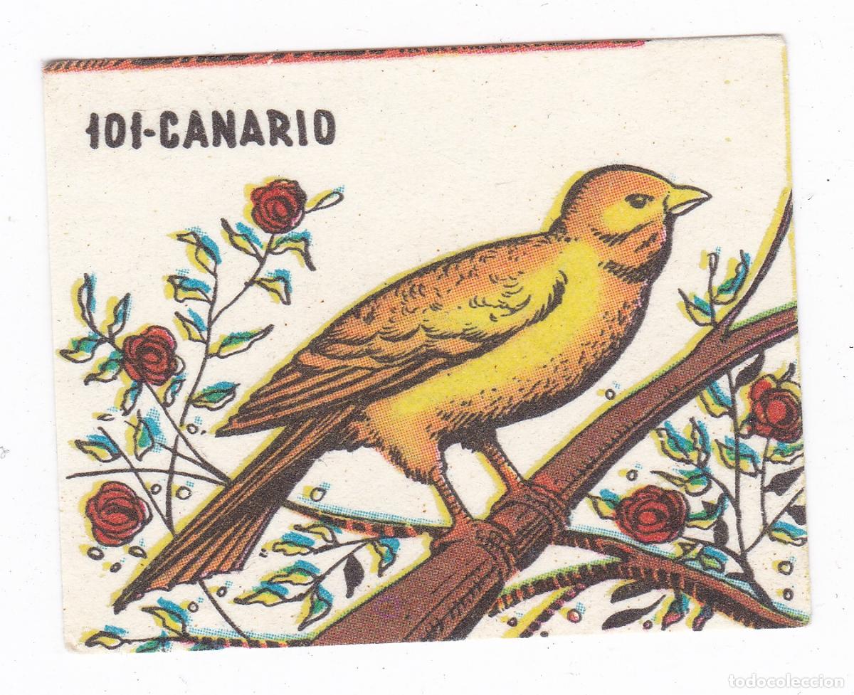 Coleccionismo cromos antiguos: Reino Animal. Colecci&oacute;n de Cromos Ediciones Costa Gigarpe A&ntilde;o 1963. Nunca pegado. Cromo N&ordm; 101