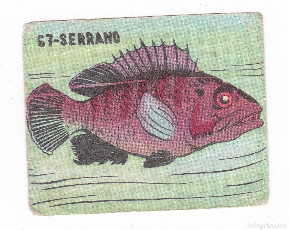 Coleccionismo cromos antiguos: Reino Animal. Colecci&oacute;n de Cromos Ediciones Costa Gigarpe A&ntilde;o 1963. Nunca pegado. Cromo N&ordm; 67