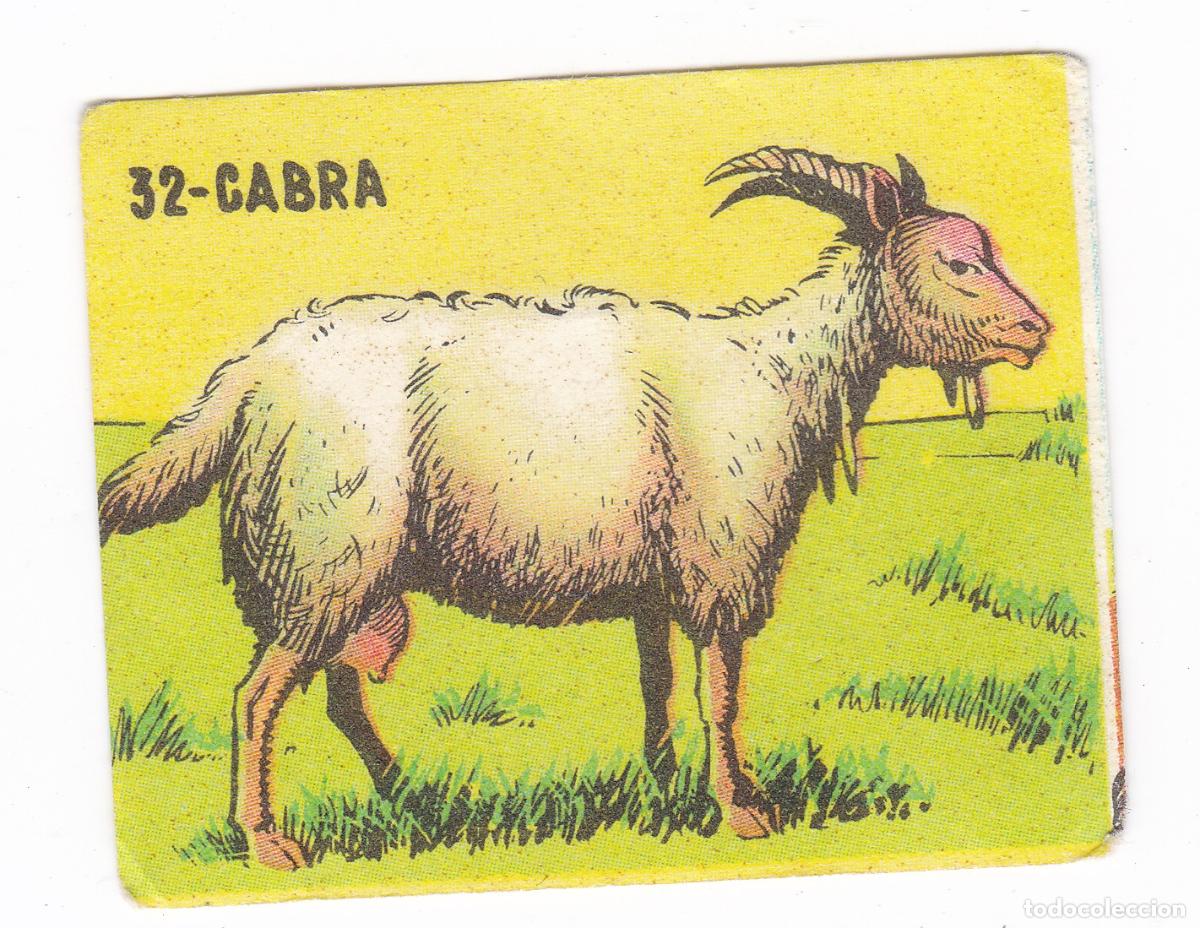 Coleccionismo cromos antiguos: Reino Animal. Colecci&oacute;n de Cromos Ediciones Costa Gigarpe A&ntilde;o 1963. Nunca pegado. Cromo N&ordm; 32