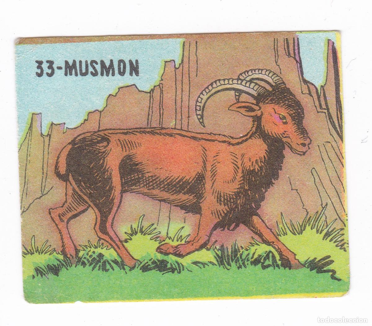 Coleccionismo cromos antiguos: Reino Animal. Colecci&oacute;n de Cromos Ediciones Costa Gigarpe A&ntilde;o 1963. Nunca pegado. Cromo N&ordm; 33
