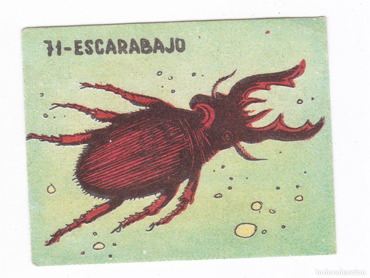 Collezionismo Figurine antiche: Reino Animal. Colecci&oacute;n de Cromos Ediciones Costa Gigarpe A&ntilde;o 1963. Nunca pegado. Cromo N&ordm; 71