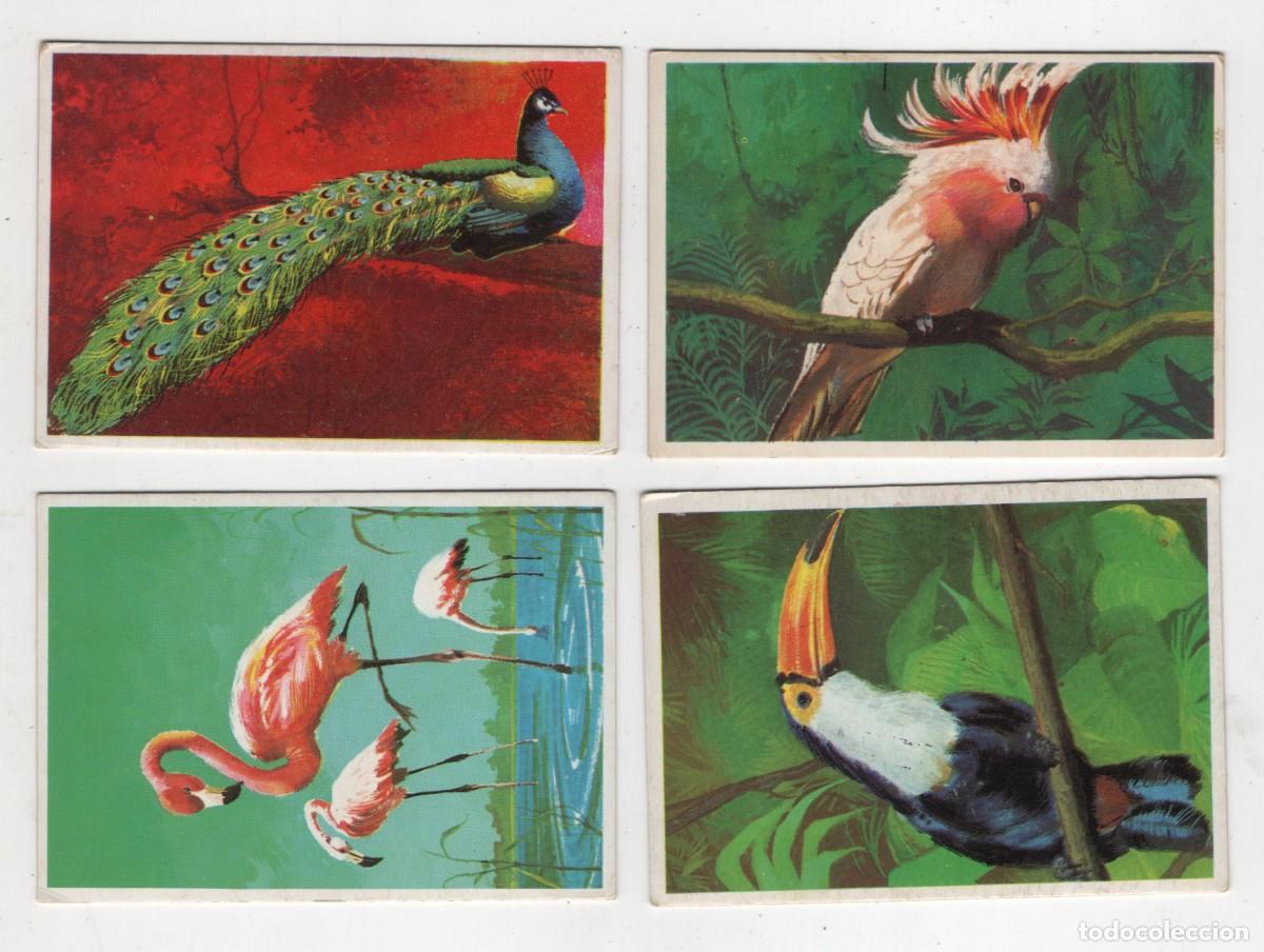 Coleccionismo cromos antiguos: DUNKIN SUPERCROMO EDIGRAF 1969 LAS AVES N&ordm; 2-3-4-5 VER IMAGEN DE LAS DOS CARAS MUY BUEN ESTADO