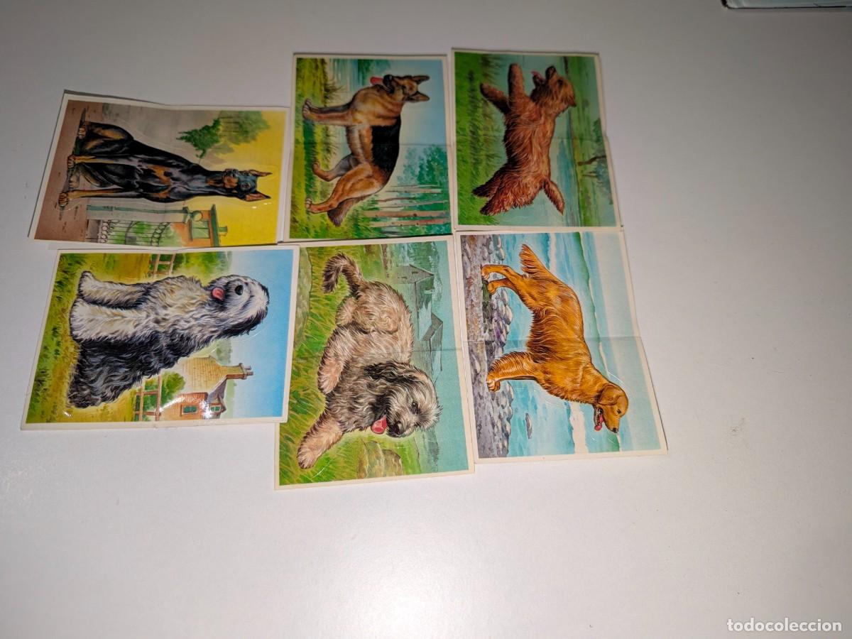 Coleccionismo cromos antiguos: Bollycao tu mejor amigo - I