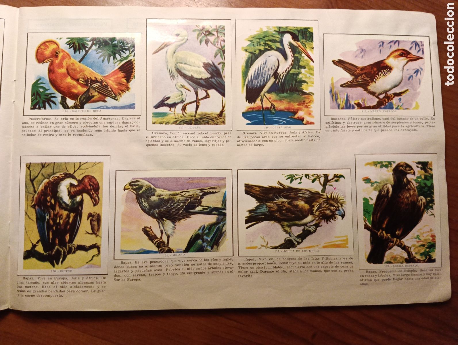 Coleccionismo cromos antiguos: Ciencia y Arte, Libro para cromos - Foto 3