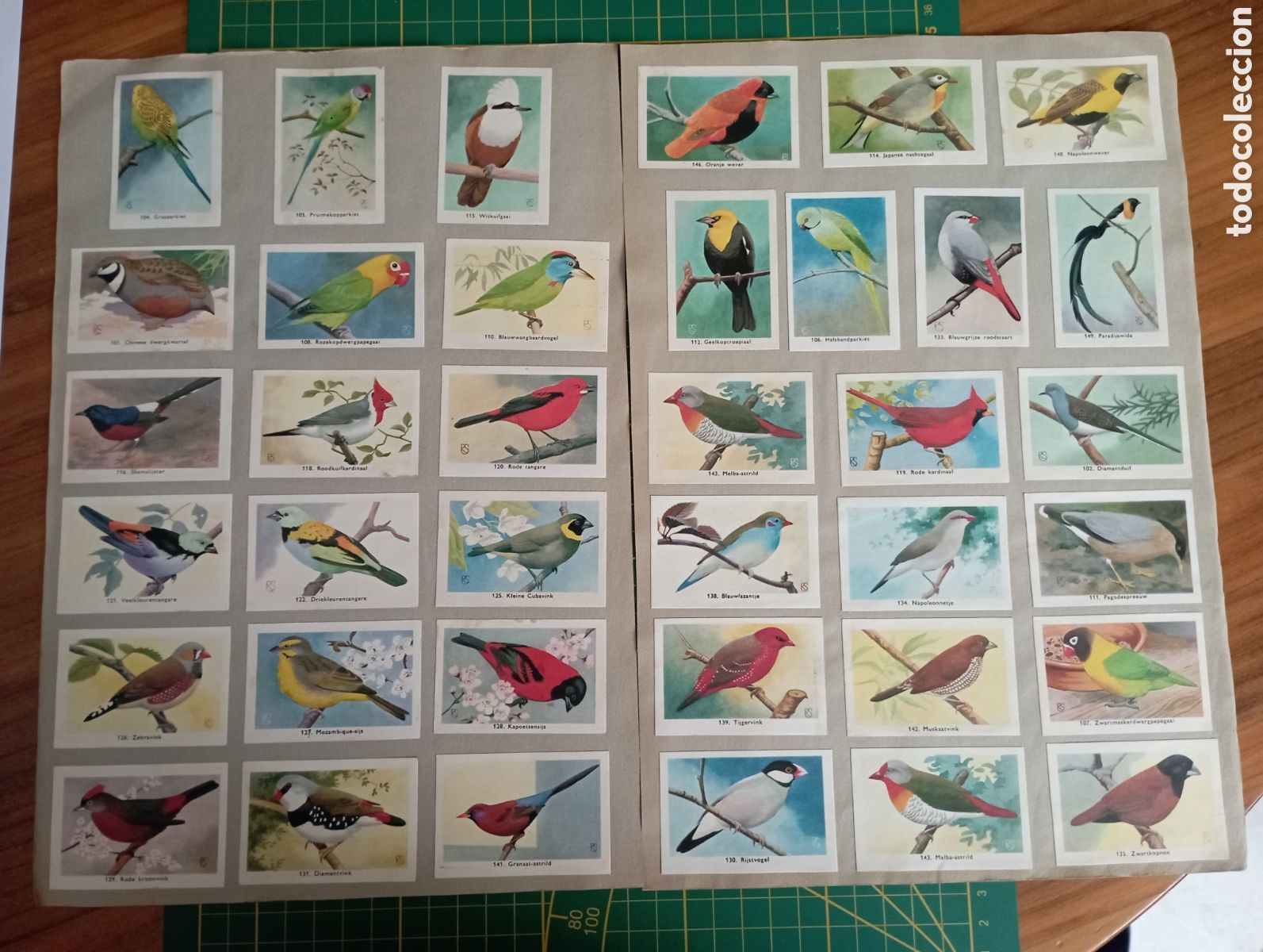 Coleccionismo cromos antiguos: Lote 38 cromos de aves en dos hojas - Foto 1