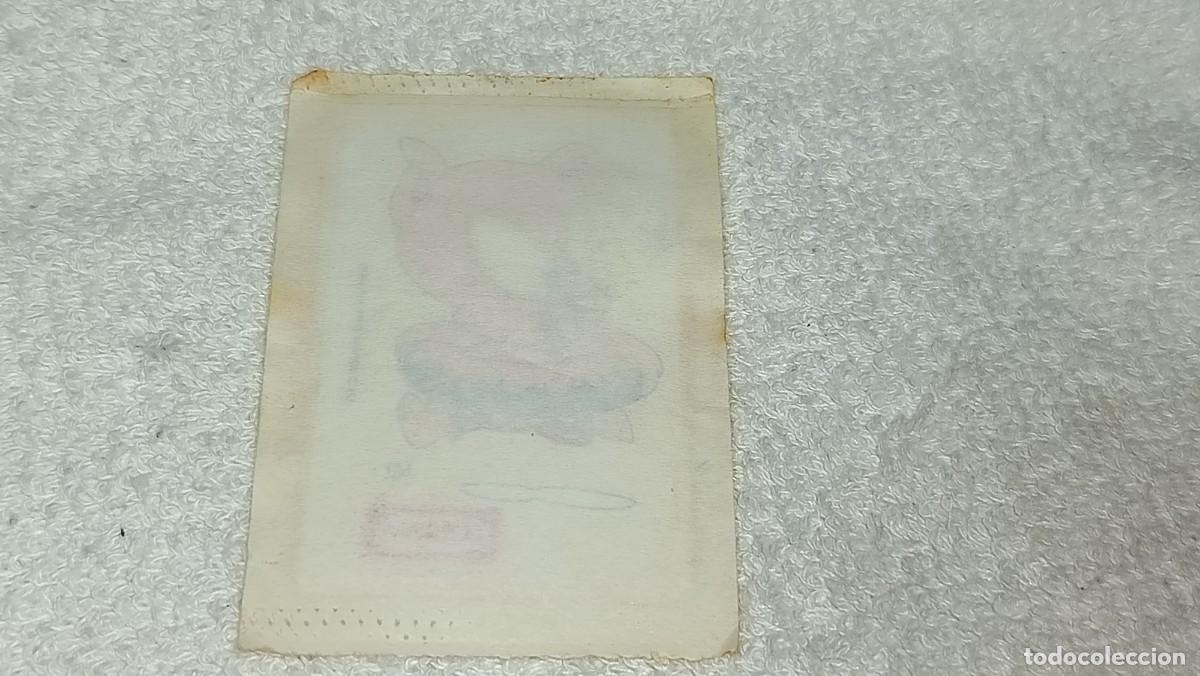 Coleccionismo cromos antiguos: PANRICO : ANTIGUO CROMO HAMTON J. PIG TINY TOON TINYTOON ADVENTURES WARNER BROS A&Ntilde;O 1990 SIN ABRIR