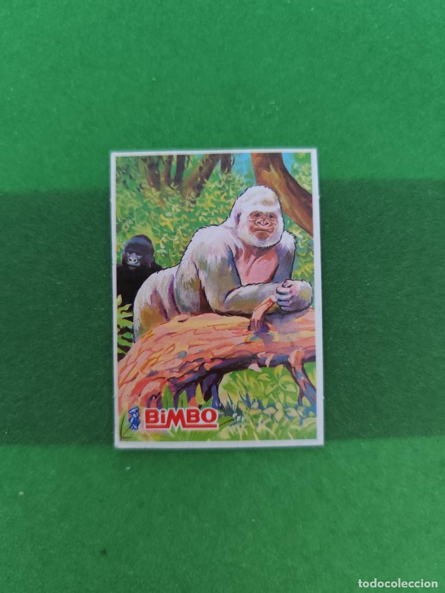 Sammeln alte Sammelbilder: Cromo Copito de nieve 4 Bimbo Sin pegar