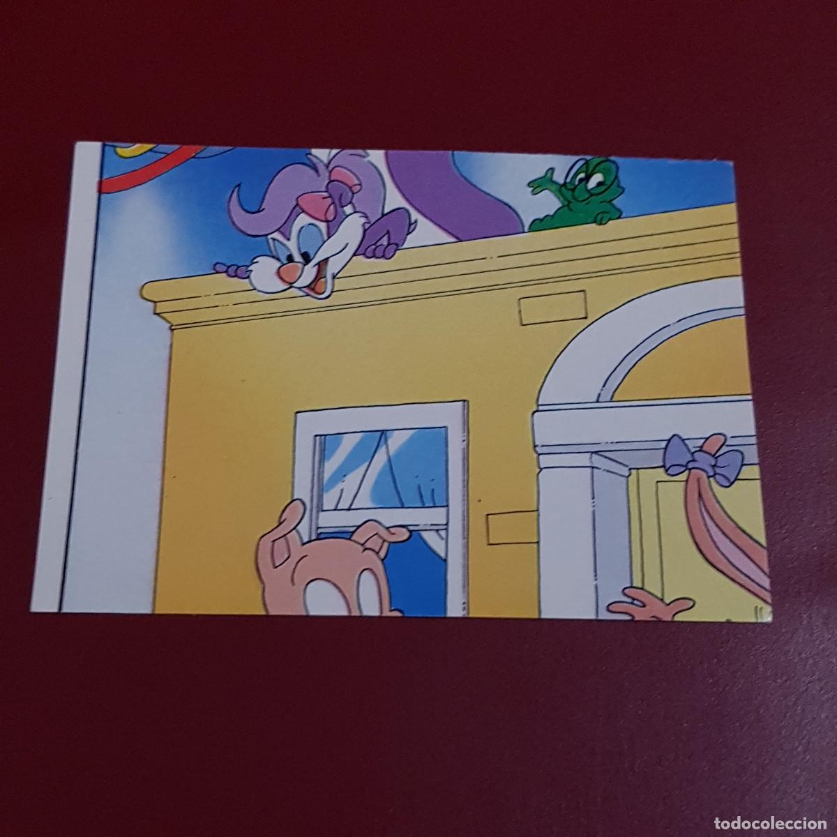Coleccionismo cromos antiguos: ASTON - TINYTOON ADVENTURES - 157 - NUNCA PEGADO