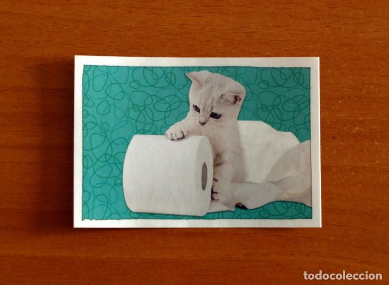 Coleccionismo cromos antiguos: Animales - N&ordm; 58 Gato - El Gran &Aacute;bum del Mundo Animal Panini A&ntilde;o 2020 -Cromo Nunca Pegado
