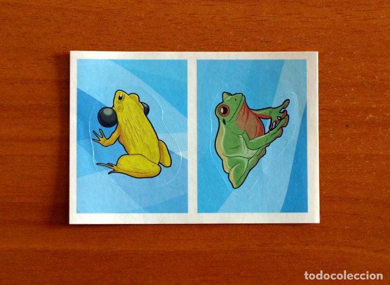 Collectionnisme Cartes &agrave; collectionner anciennes: Animales - N&ordm; 120 A - 120 B - El Gran &Aacute;lbum del Mundo Animal Panini A&ntilde;o 2020 -Cromo Nunca Pegado