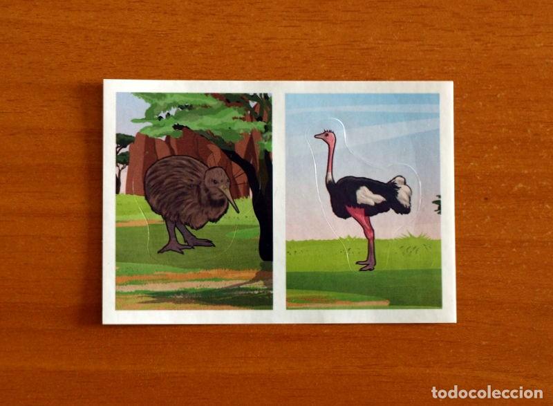 Coleccionismo cromos antiguos: Animales - N&ordm; 130 A-B Aves - El Gran &Aacute;lbum del Mundo Animal Panini A&ntilde;o 2020 -Cromo Nunca Pegado