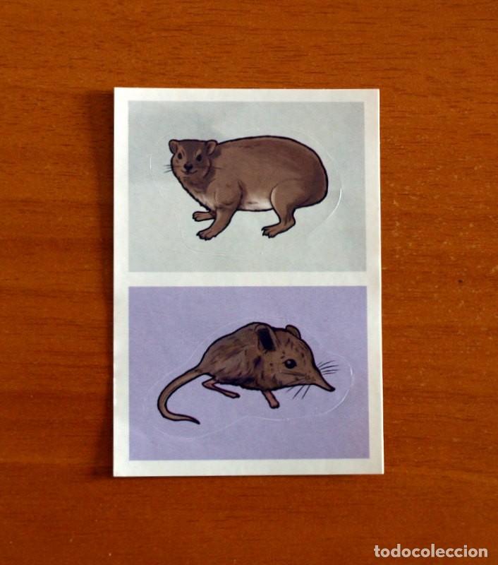 Coleccionismo cromos antiguos: Animales - N&ordm; 186 A - B - El Gran &Aacute;lbum del Mundo Animal Panini A&ntilde;o 2020 -Cromo Nunca Pegado