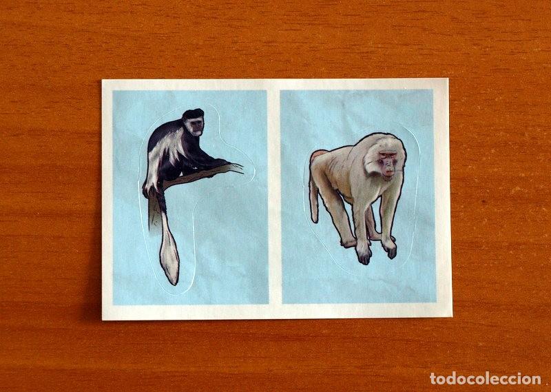 Coleccionismo cromos antiguos: Animales - N&ordm; 201 A - B - El Gran &Aacute;lbum del Mundo Animal Panini A&ntilde;o 2020 -Cromo Nunca Pegado