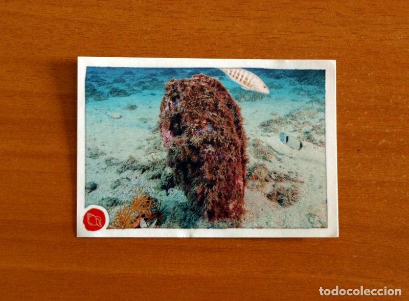 Coleccionismo cromos antiguos: Animales -N&ordm; 262 -El Gran &Aacute;lbum del Mundo Animal Panini A&ntilde;o 2020-Cromo Nunca Pegado
