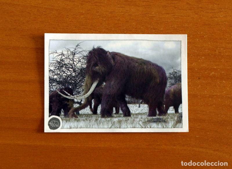 Coleccionismo cromos antiguos: Animales -N&ordm; 268 Mamut -El Gran &Aacute;lbum del Mundo Animal Panini A&ntilde;o 2020-Cromo Nunca Pegado