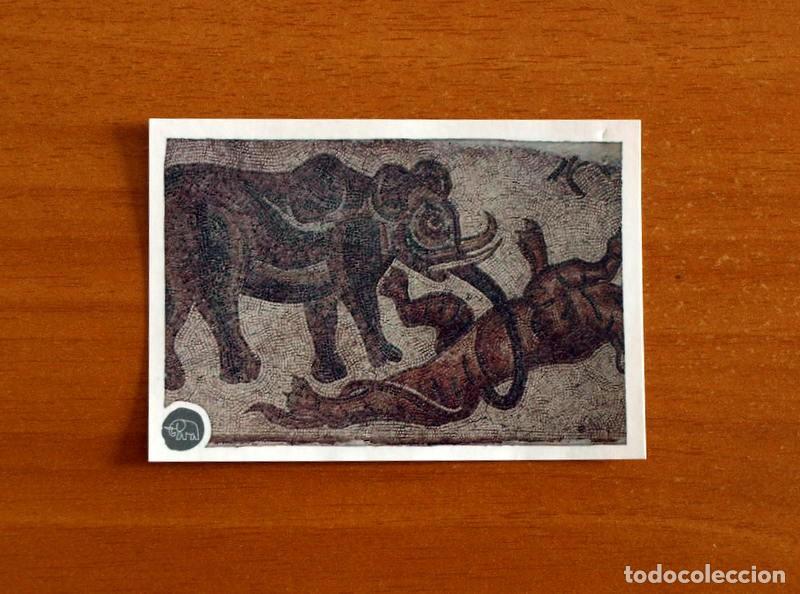 Coleccionismo cromos antiguos: Animales -N&ordm; 273 -El Gran &Aacute;lbum del Mundo Animal Panini A&ntilde;o 2020-Cromo Nunca Pegado