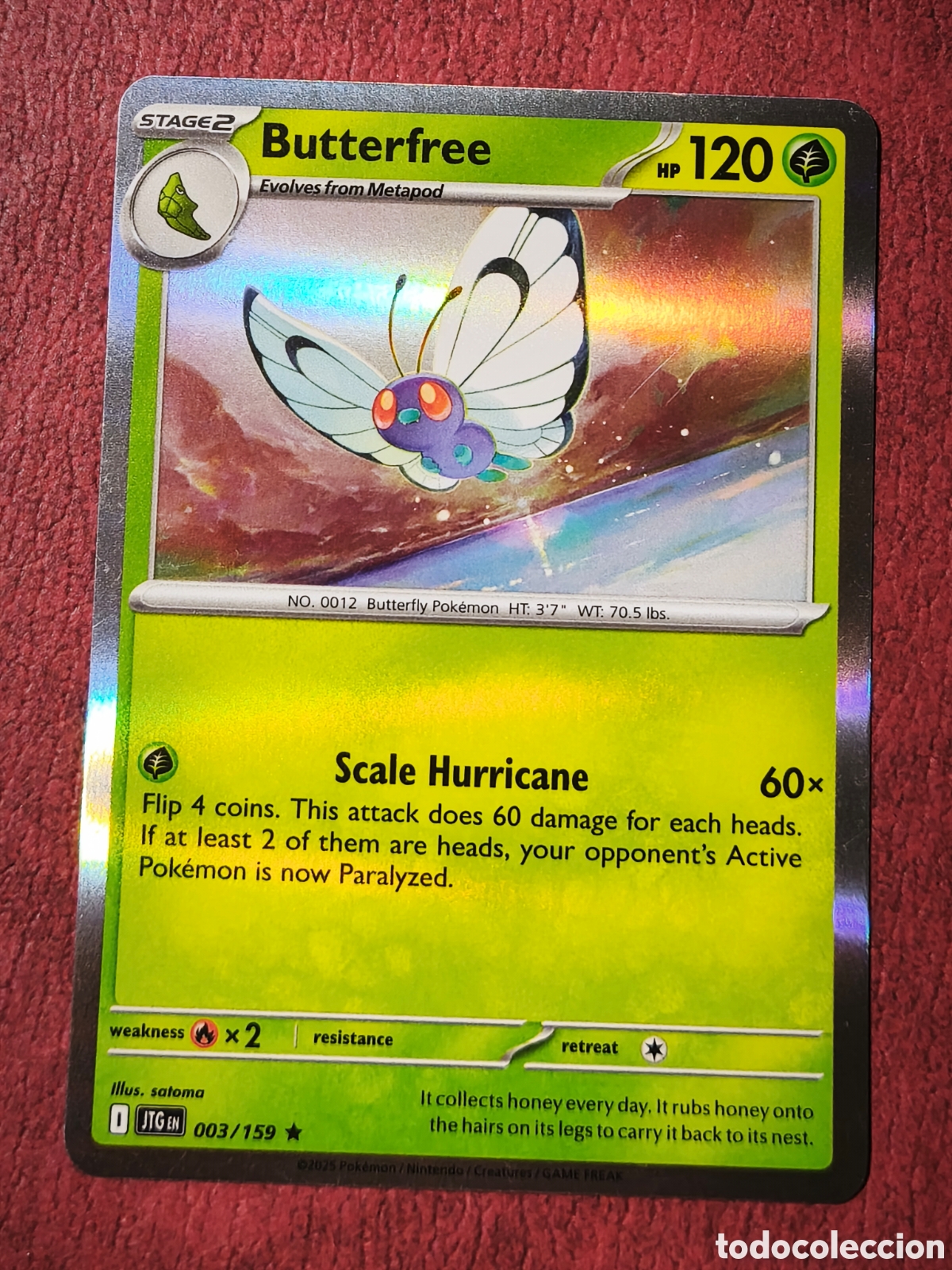 Coleccionismo cromos antiguos: Pokemon. 2025. Butterfree. Holo. Ingl&eacute;s