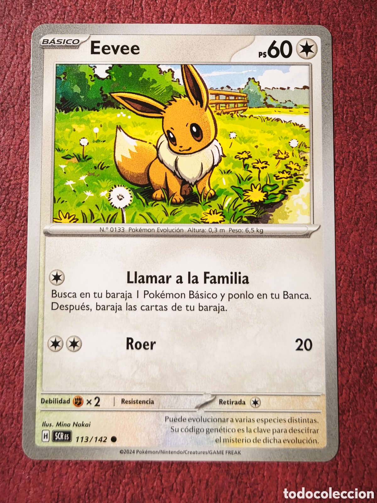 Coleccionismo cromos antiguos: Pokemon. 2024. Eevee. #113/142. Espa&ntilde;ol - Foto 1