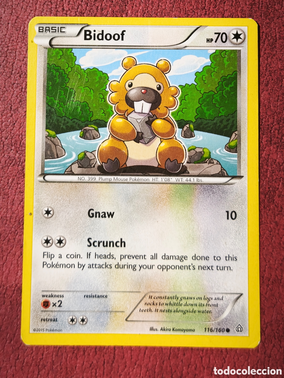 Coleccionismo cromos antiguos: Pokemon. 2015. Bidoof. #116/160
