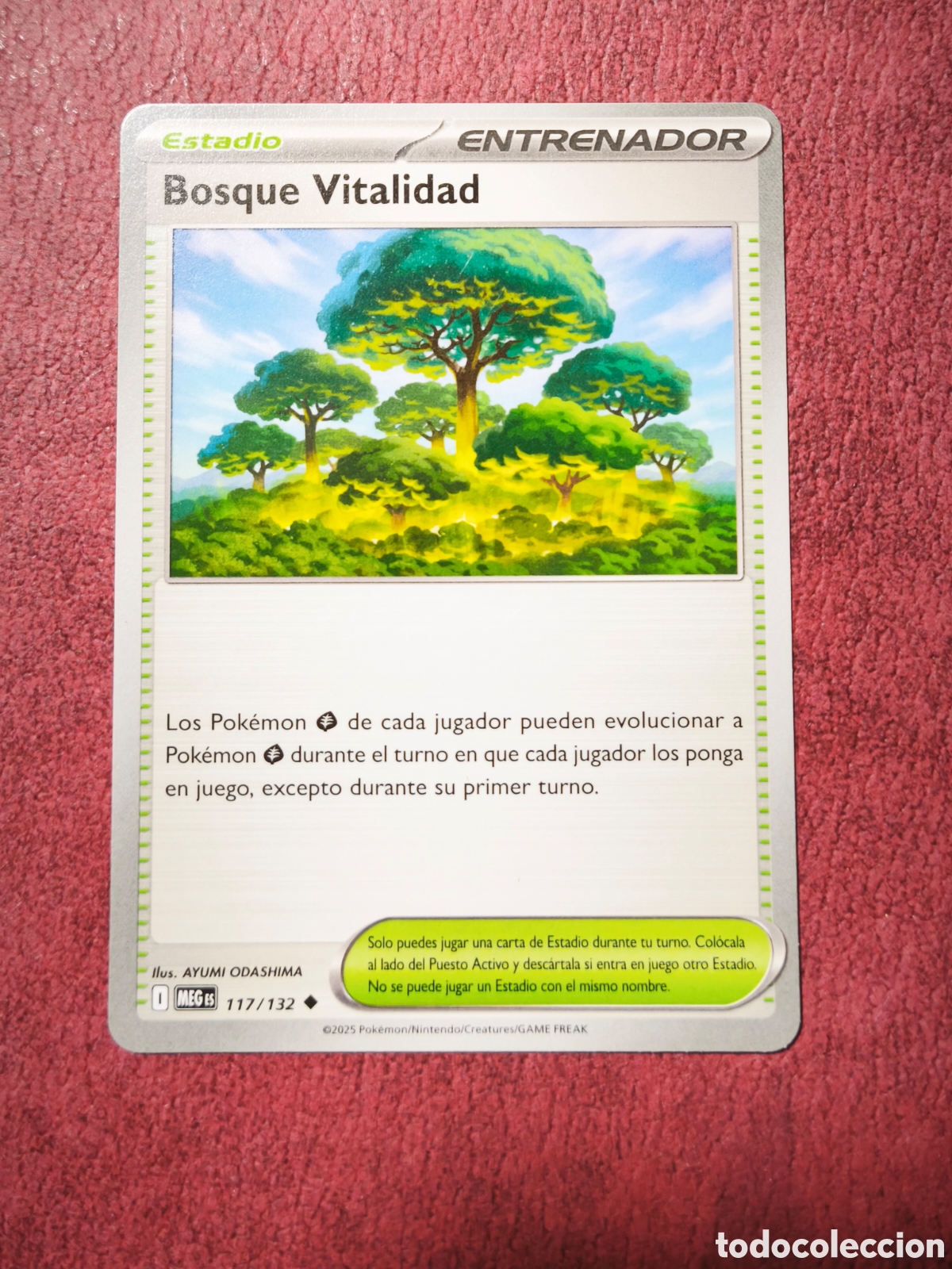 Coleccionismo cromos antiguos: Pokemon. 2025. Bosque vitalidad. #117/132. Espa&ntilde;ol