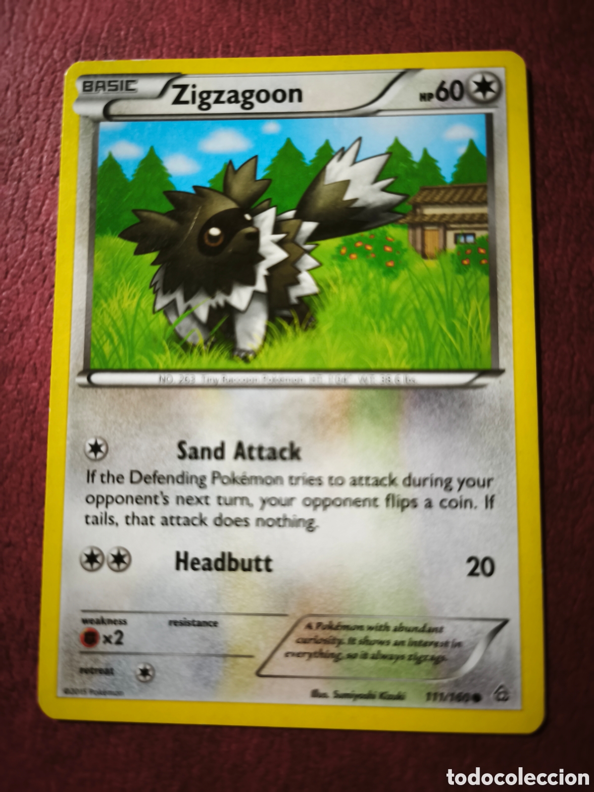Coleccionismo cromos antiguos: Pokemon. 2015. Zigzagoon #111/160. Ingl&eacute;s - Foto 1