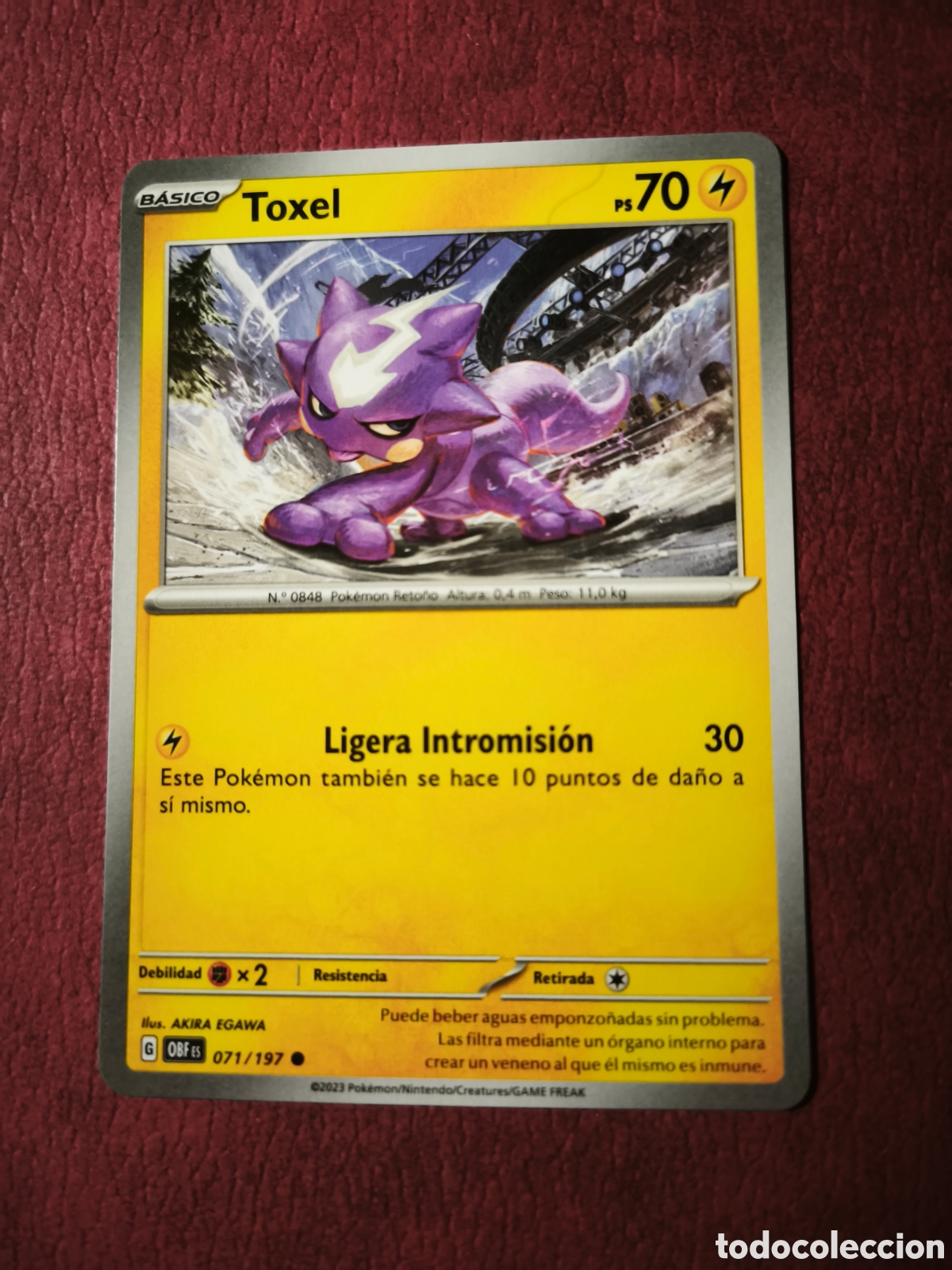 Coleccionismo cromos antiguos: Pokemon. 2023. Toxel #71/197. Espa&ntilde;ol