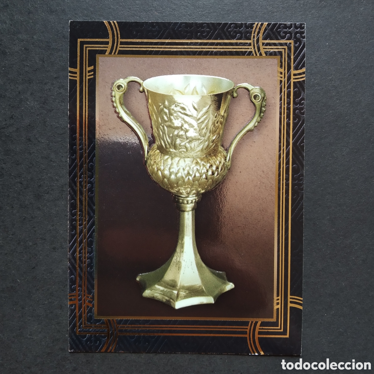 Coleccionismo cromos antiguos: CROMO - N&ordm; 192 - HARRY POTTER, BIENVENIDOS A HOGWARTS - PANINI - A&Ntilde;O 2020 / 2021