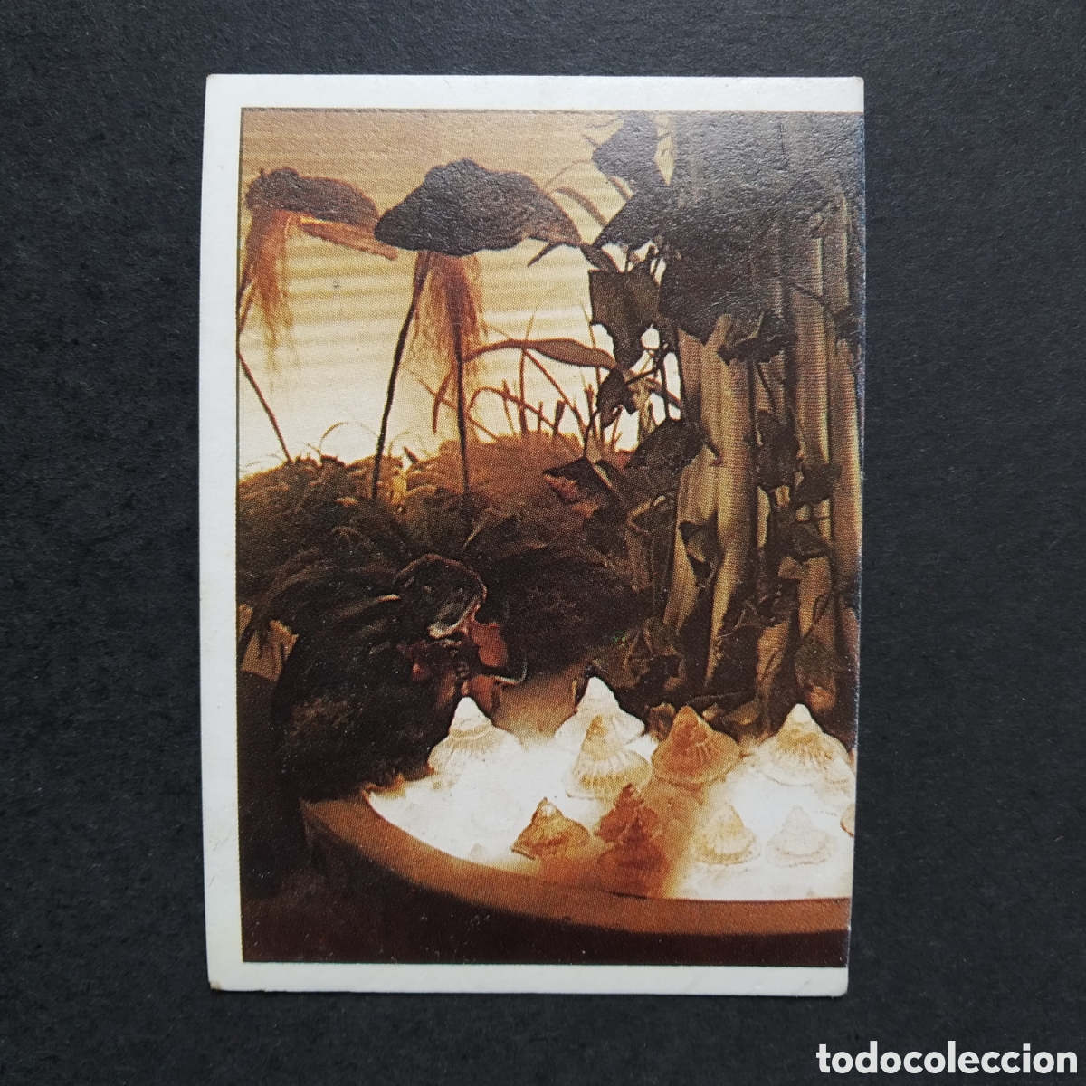 Coleccionismo cromos antiguos: CROMO - N&ordm; 011 - E.T. EL EXTRATERRESTRE - EDICIONES ESTE - A&Ntilde;O 1982