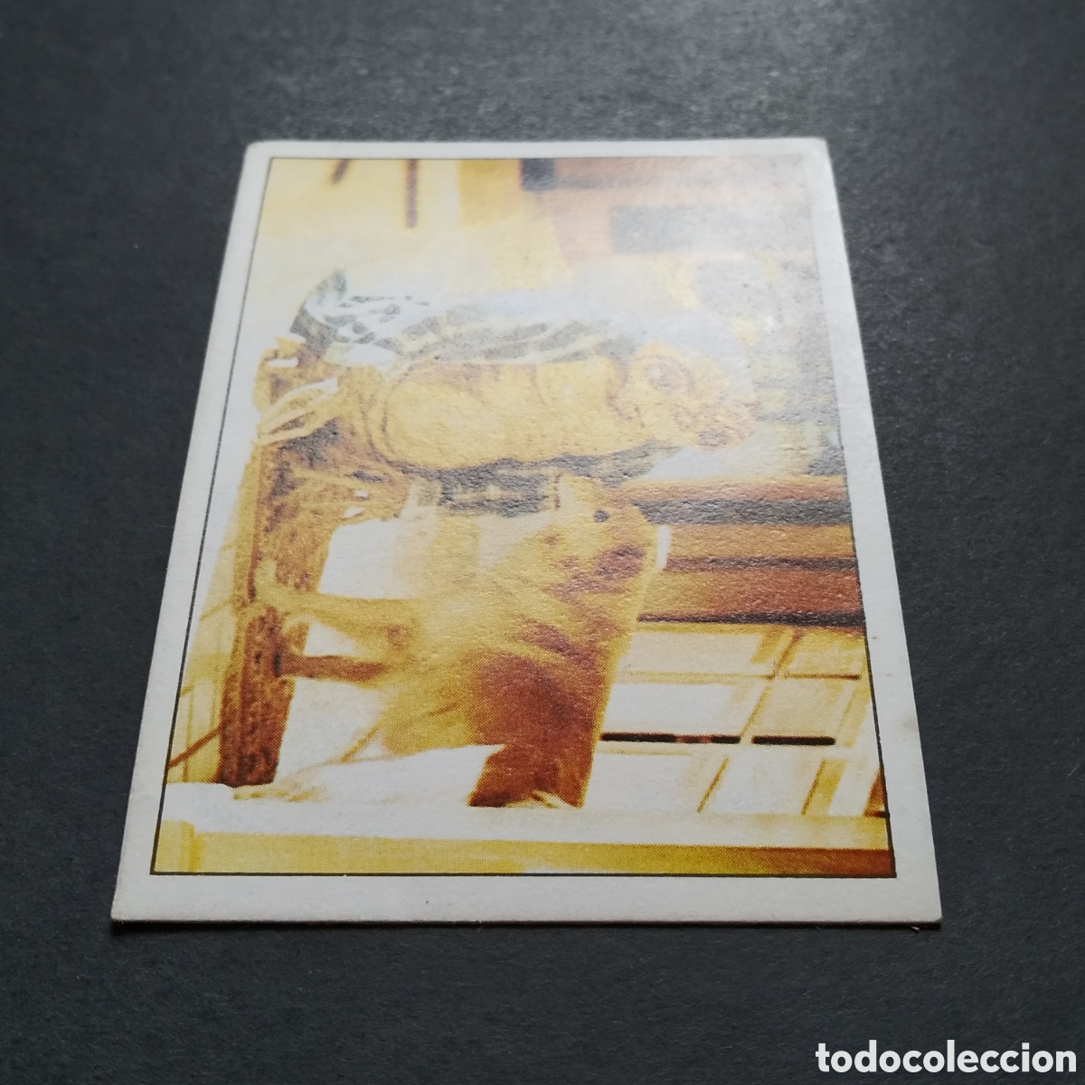 Coleccionismo cromos antiguos: CROMO - N&ordm; 045 - E.T. EL EXTRATERRESTRE - EDICIONES ESTE - A&Ntilde;O 1982 - Foto 4