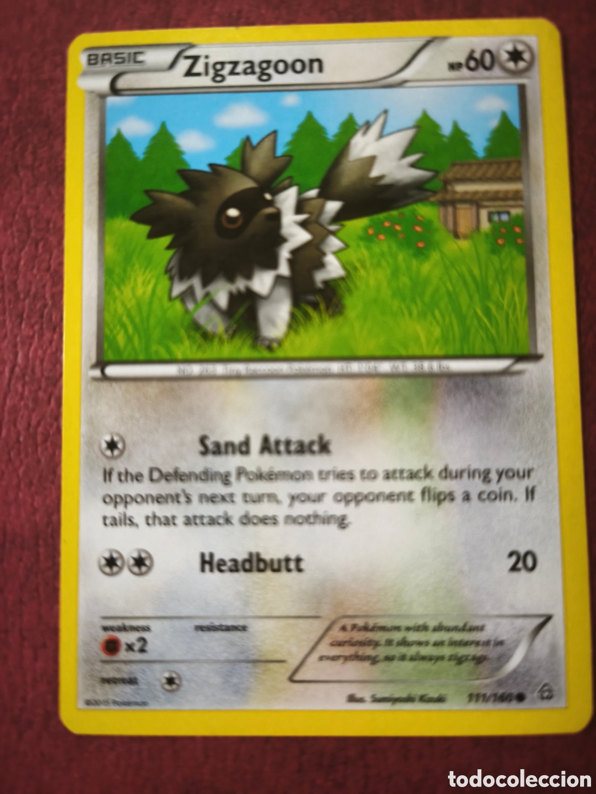 Coleccionismo cromos antiguos: Pokemon. 2015. Zigzagoon #111/160. Ingl&eacute;s