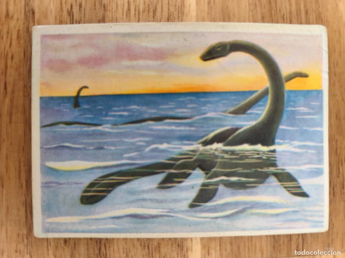 Coleccionismo cromos antiguos: FELIX EL AMIGO DE LOS ANIMALES - 7 PLESIOSAURIO - ( Nunca Pegado )