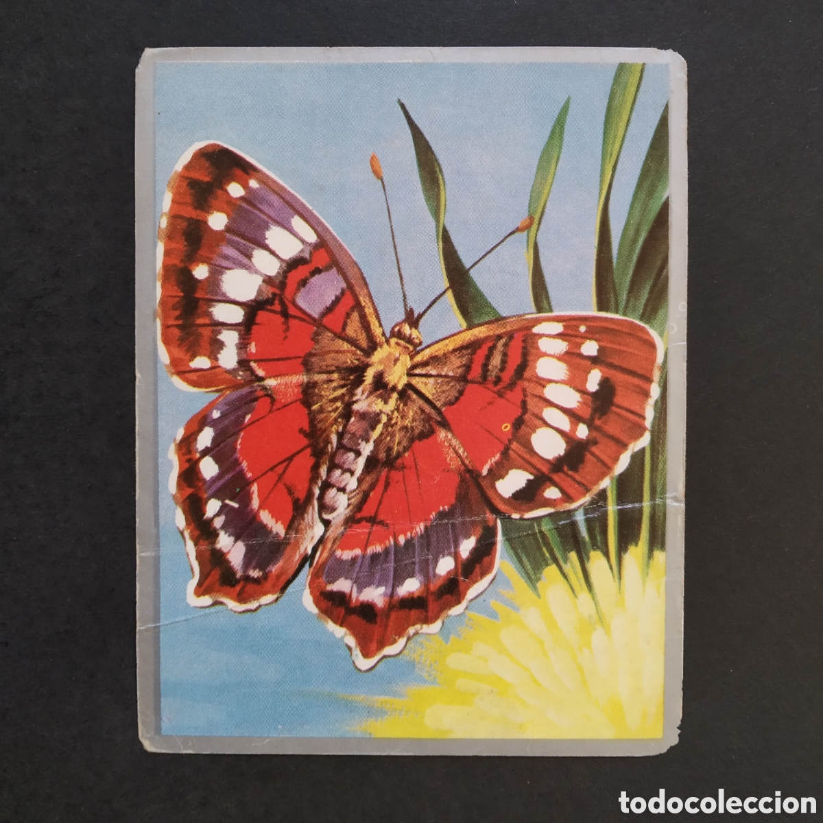 Coleccionismo cromos antiguos: CROMO - N&ordm; 076 - ZOOLOG&Iacute;A Y BOT&Aacute;NICA - EDITORIAL MAGA - A&Ntilde;O 1969