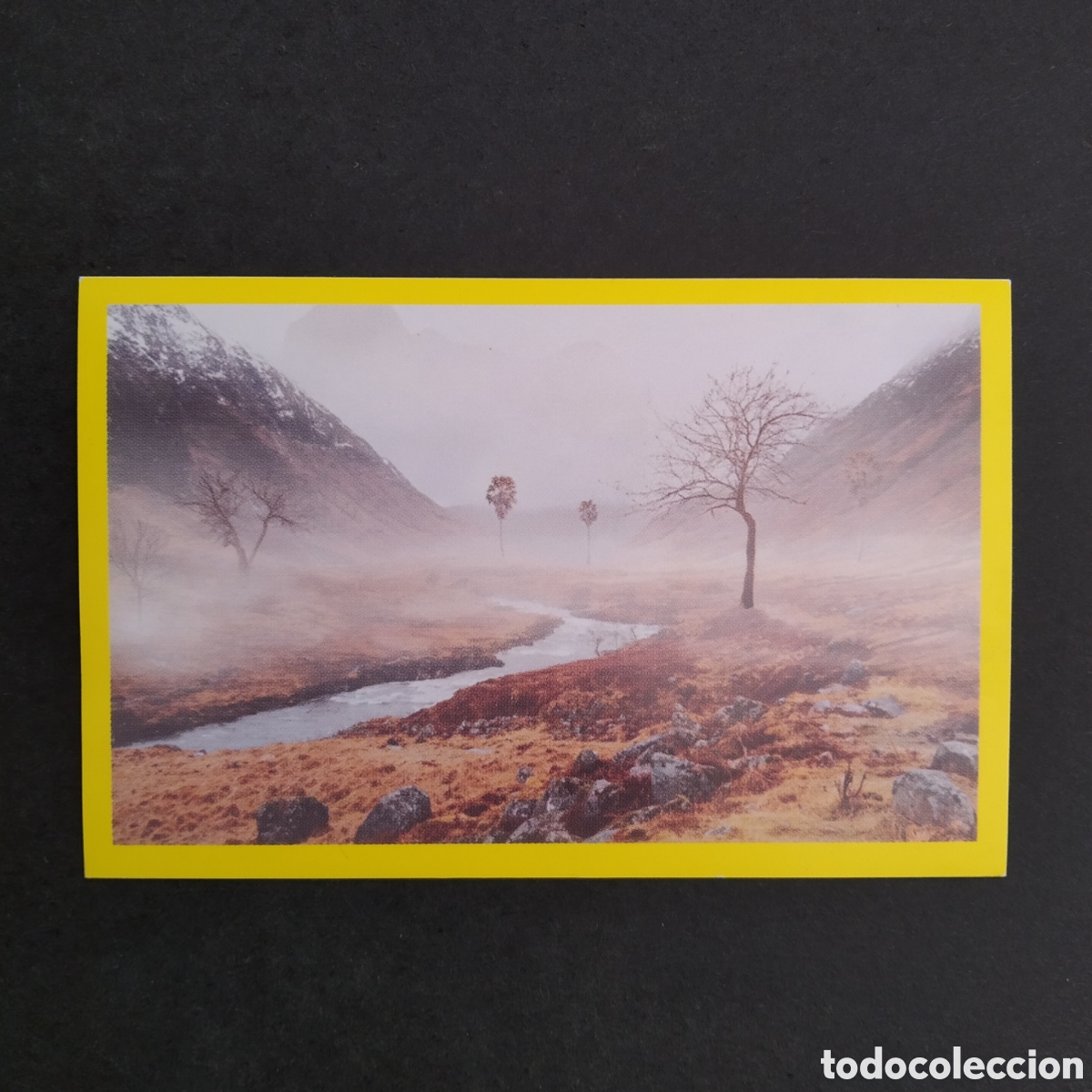 Coleccionismo cromos antiguos: CROMO - N&ordm; 010 - LA HUELLA DEL TIRANOSAURIO - DINOSAURUS / GALLETAS ARTIACH - A&Ntilde;O 2021