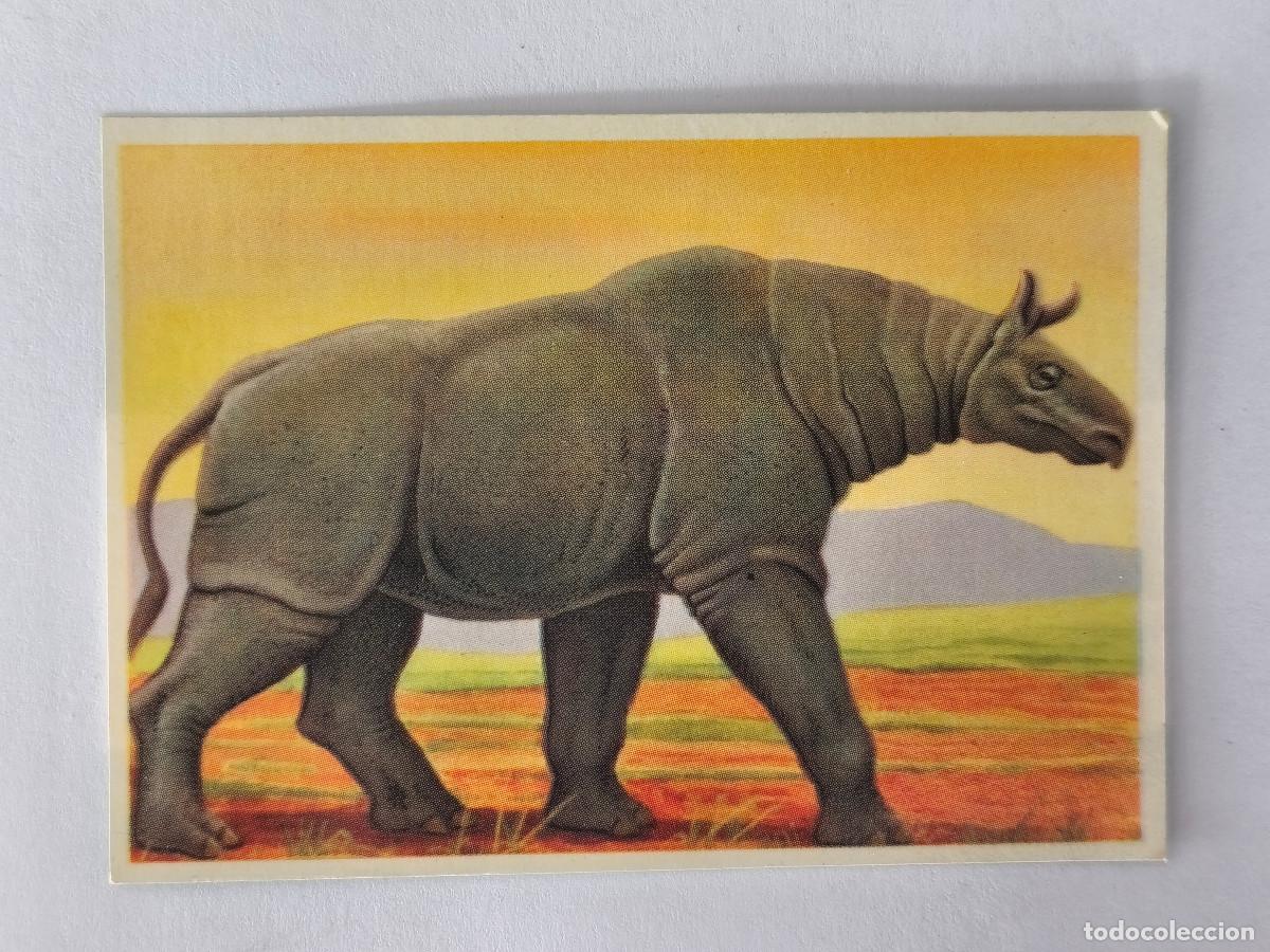 Coleccionismo cromos antiguos: FELIX EL AMIGO DE LOS ANIMALES - 16 BALUCHITHERIUM - ( Nunca Pegado )