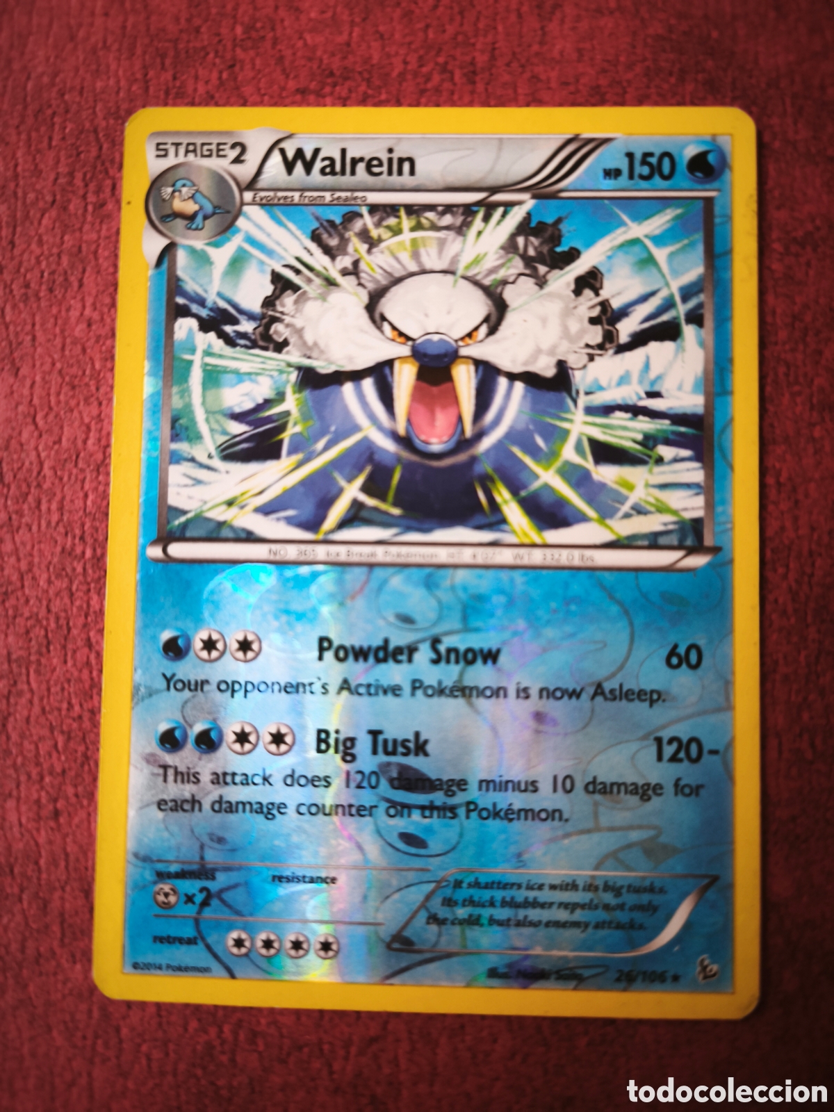 Coleccionismo cromos antiguos: Pokemon. 2014. Walrein #26/106. Holo. Ingl&eacute;s