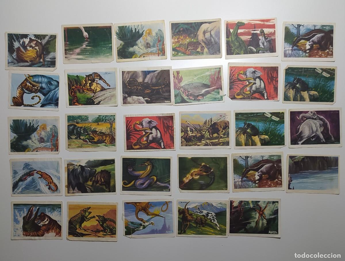 Coleccionismo cromos antiguos: Cromos Lucha por la vida Chocolates Eudosio Lopez