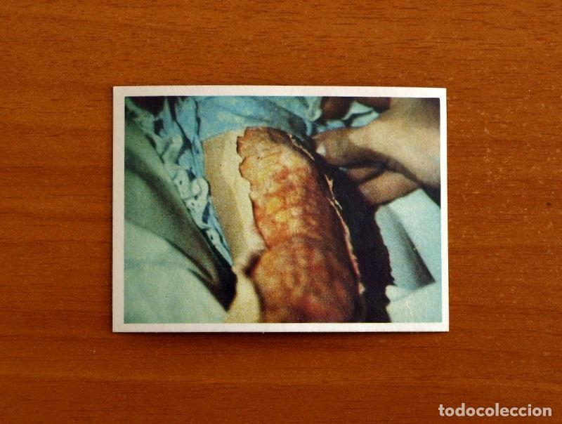Coleccionismo cromos antiguos: Cromo n&ordm; 238 - De la serie de Televisi&oacute;n V Los Visitantes - Editorial Maga A&ntilde;o 1984 - Nunca pegado