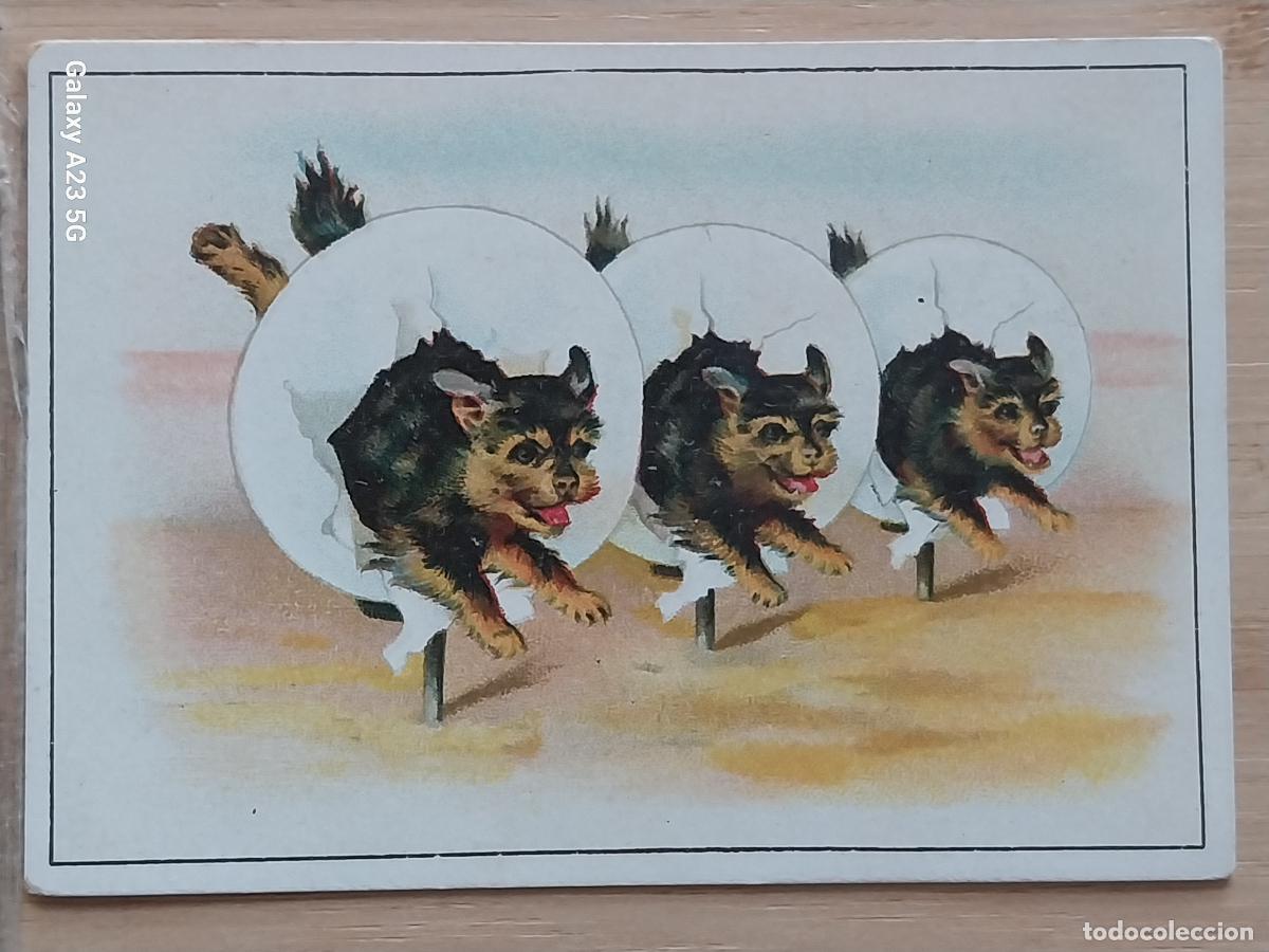 Coleccionismo cromos antiguos: CHOCOLATES POBLET CROMO PUBLICIDAD PPOS SXX 10X7CMS PAISAJE PERRITOS EJERCICIO AROS
