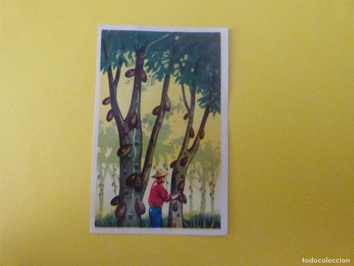 Coleccionismo cromos antiguos: CROMO DE ESCALA EN OCEANIA DESPEGADO N&ordm; 149 A&Ntilde;O 1966 DEL ALBUM ESCALA EN OCEANIA CHOCOLATES TORRAS
