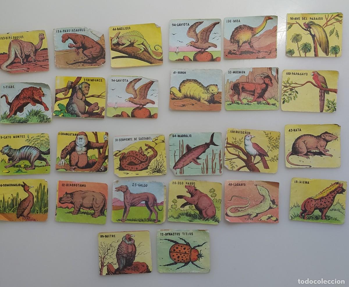 Coleccionismo cromos antiguos: Cromos Reino Animal ED. Costa 1963