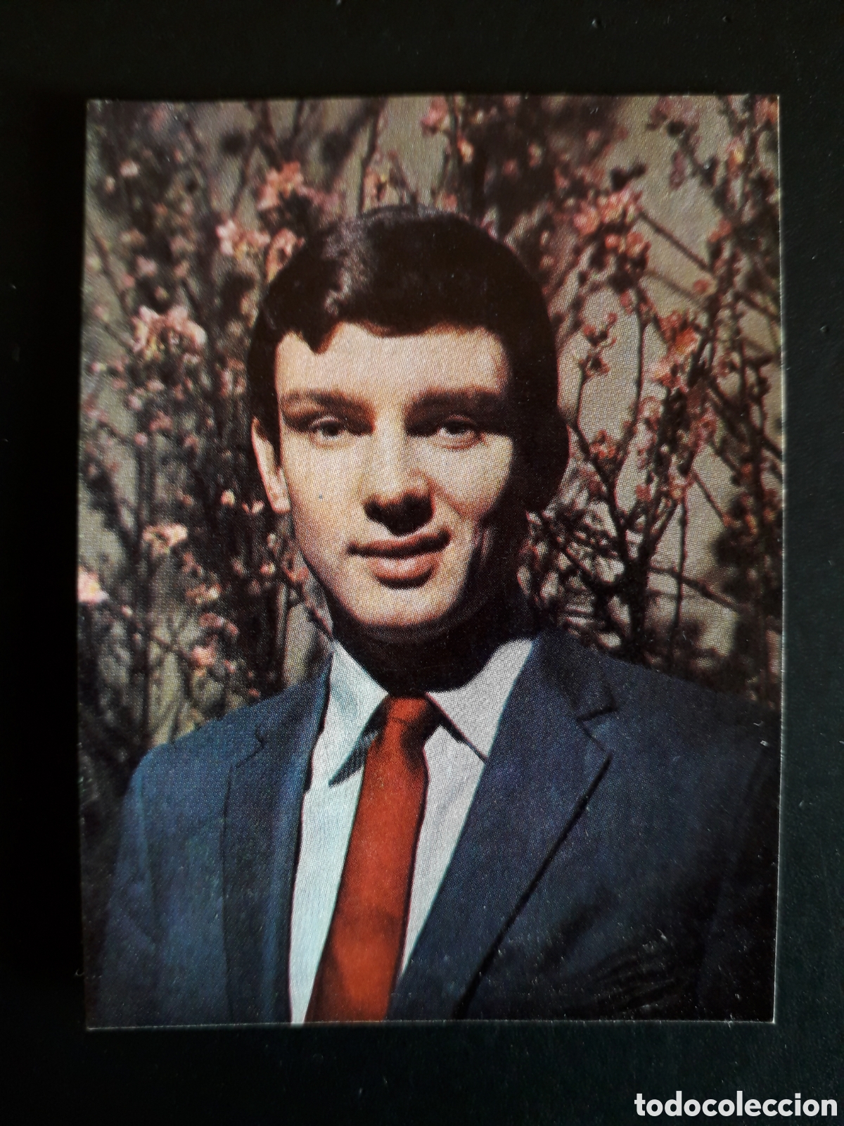 Coleccionismo cromos antiguos: GENE PITNEY N&deg; 119 ESTRELLAS DE LA CANCI&Oacute;N ED UDE 1966 DESPEGADO PEDIDO M&Iacute;NIMO 3&euro;