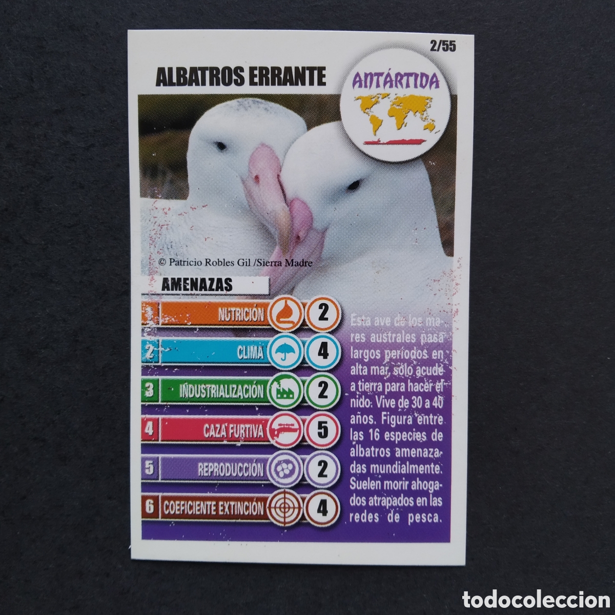 Coleccionismo cromos antiguos: CROMO - N&ordm; 02/55 - ALBATROS ERRANTE - ANT&Aacute;RTIDA - ACCI&Oacute;N RESCATE - BOLLYCAO / PANRICO - A&Ntilde;O 2004