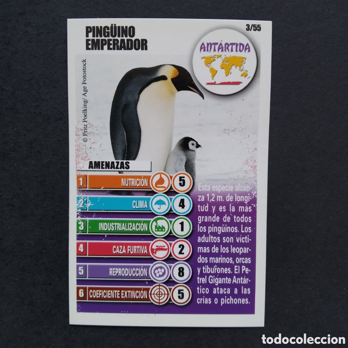Coleccionismo cromos antiguos: CROMO - N&ordm; 03/55 - PING&Uuml;INO EMPERADOR - ANT&Aacute;RTIDA - ACCI&Oacute;N RESCATE - BOLLYCAO / PANRICO - A&Ntilde;O 2004