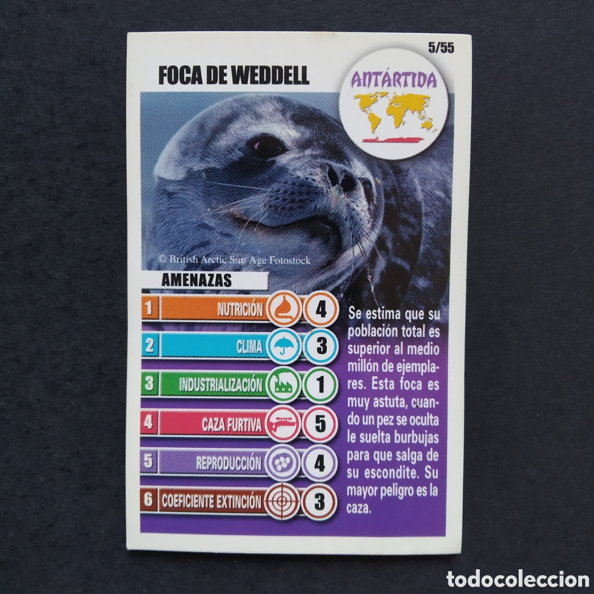 Coleccionismo cromos antiguos: CROMO - N&ordm; 05/55 - FOCA DE WEDDELL - ANT&Aacute;RTIDA - ACCI&Oacute;N RESCATE - BOLLYCAO / PANRICO - A&Ntilde;O 2004