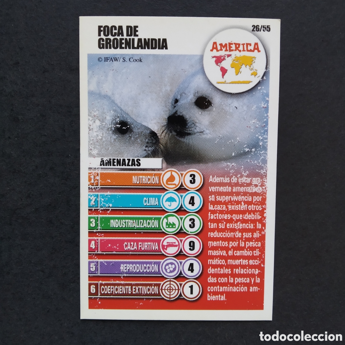 Coleccionismo cromos antiguos: CROMO - N&ordm; 26/55 - FOCA DE GROENLANDIA - AM&Eacute;RICA - ACCI&Oacute;N RESCATE - BOLLYCAO / PANRICO - A&Ntilde;O 2004