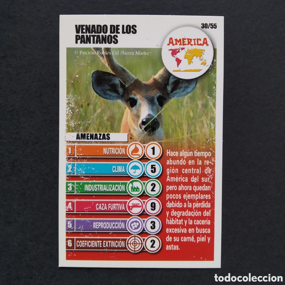 Coleccionismo cromos antiguos: CROMO - N&ordm; 30 - VENADO DE LOS PANTANOS - AM&Eacute;RICA - ACCI&Oacute;N RESCATE - BOLLYCAO / PANRICO - A&Ntilde;O 2004