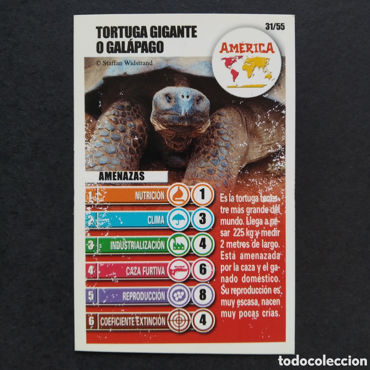 Coleccionismo cromos antiguos: CROMO - N&ordm; 31 - TORTUGA GIGANTE O GAL&Aacute;PAGO - AM&Eacute;RICA - ACCI&Oacute;N RESCATE - BOLLYCAO / PANRICO A&Ntilde;O 2004