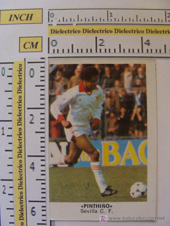 Cromos de Futebol: CROMO LIGA 1983 - 1984. SEVILLA CLUB DE F&Uacute;TBOL. PINTHI&Ntilde;O. CROMOS CANO.